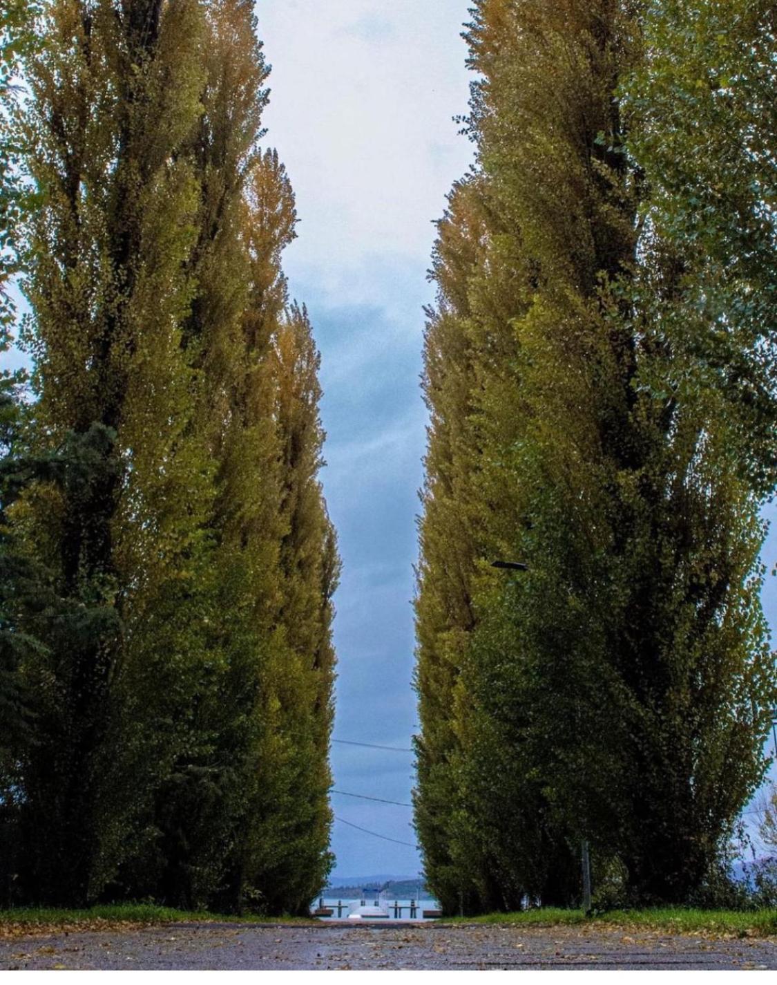 Casa Vacanze Barbara SantʼArcangelo Exteriér fotografie